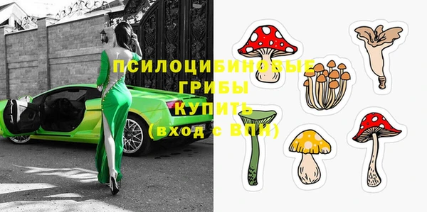 дурь Надым